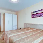 Апартаменты Dreambg In Panorama Vigo